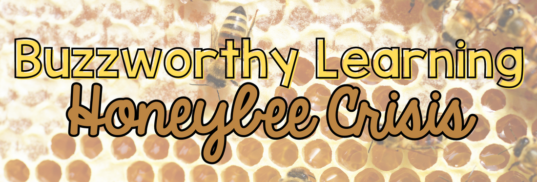 Buzzworthy Learning: Solving the Ecology Honeybee Crisis through Project-Based Socratic Seminar