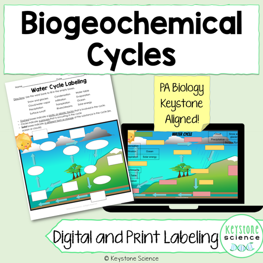Biogeochemical Cycles Diagram Labeling: Water, Carbon, Nitrogen, Phosphorus