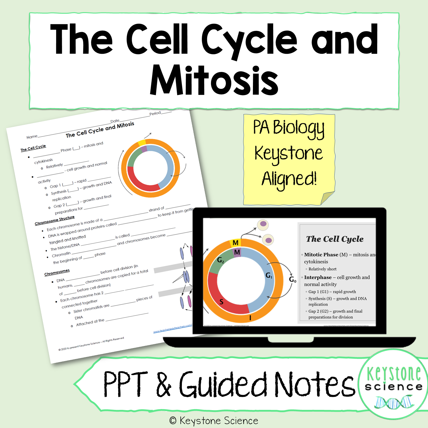 Cell Cycle and Mitosis PowerPoint and Guided Notes Biology Keystone Aligned