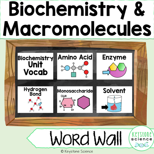 Biochemistry, Water, Macromolecules Word Wall and Vocabulary ELL ESL