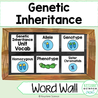 Genetics, Mendelian & Non-Mendelian Inheritance Word Wall & Vocabulary ELL, ESL