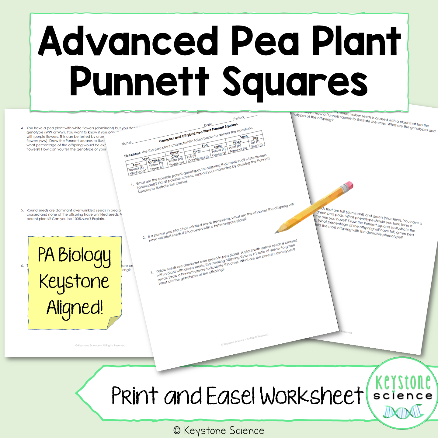Advanced Monohybrid and Dihybrid Pea Plant Punnett Squares