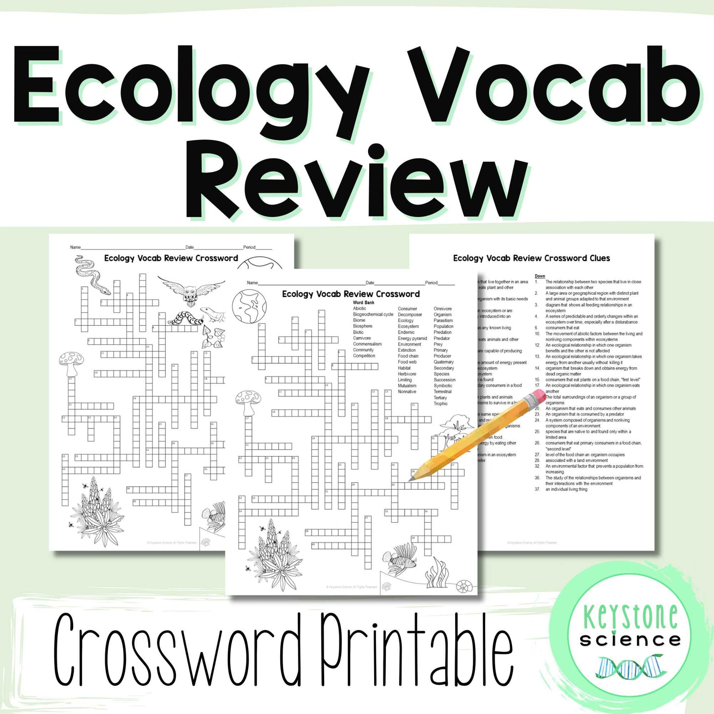 Ecology Vocabulary Review Crossword Puzzle
