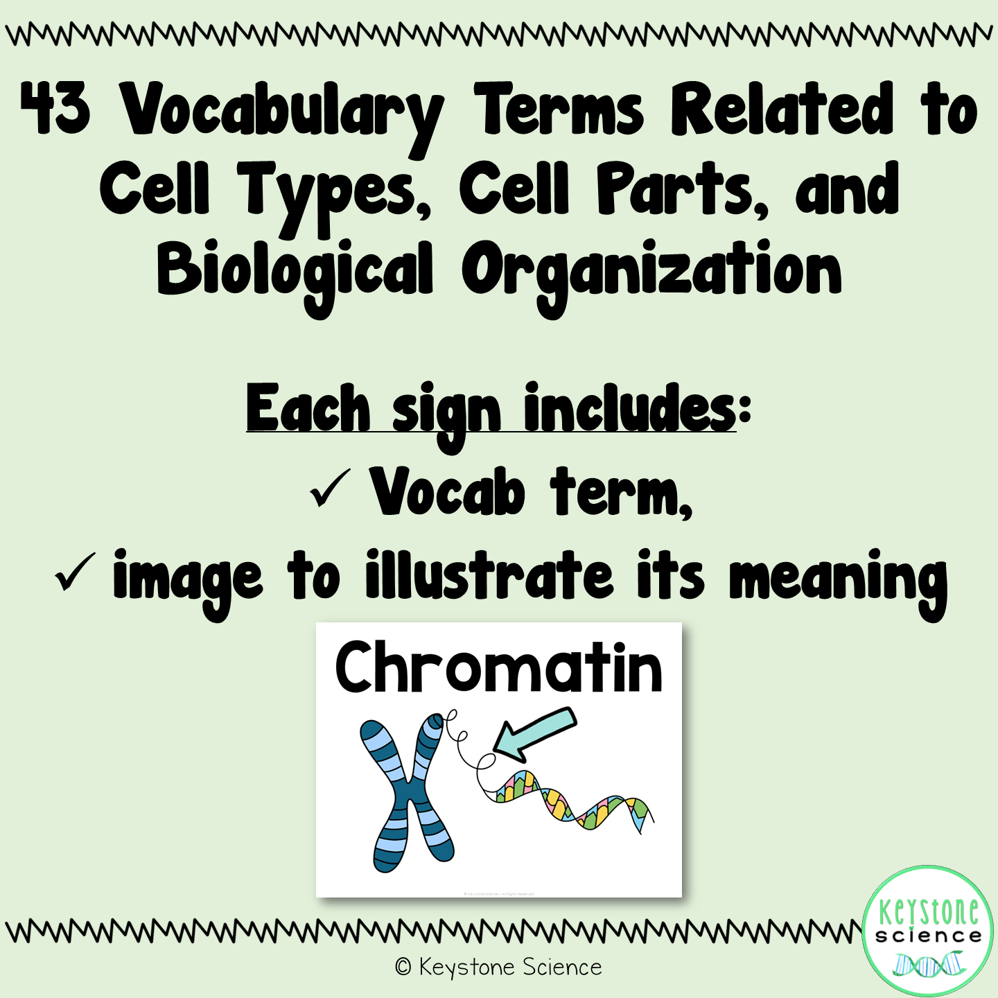Cell Types, Parts, Levels of Organization Word Wall Vocabulary ESL ELL
