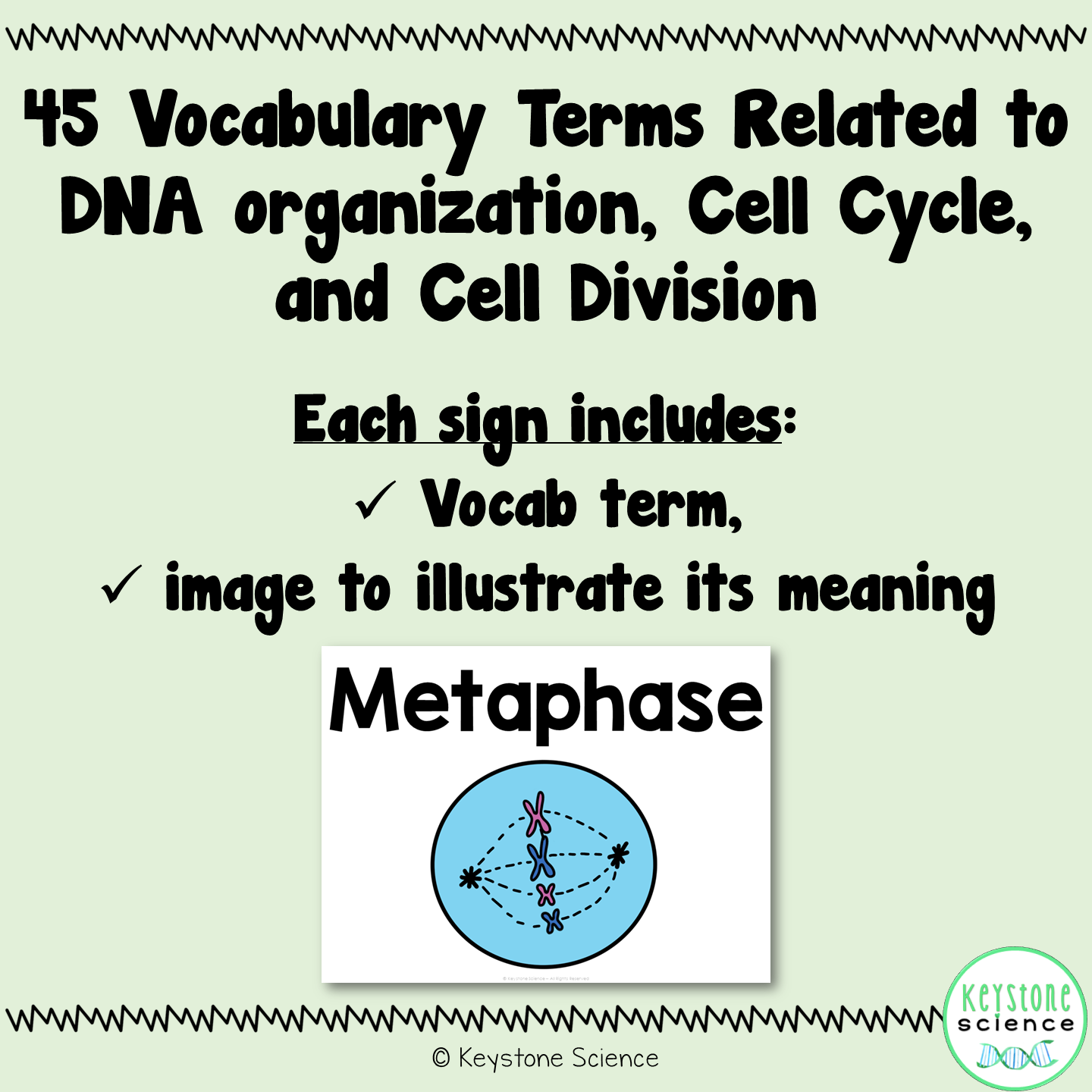 Cell Cycle, Mitosis, Reproduction Word Wall and Vocabulary ELL ESL