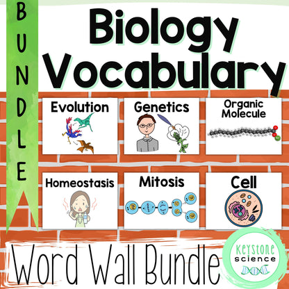 Biology Word Wall BUNDLE Prefixes, Suffixes Cells, Genetics, Evolution, Ecology