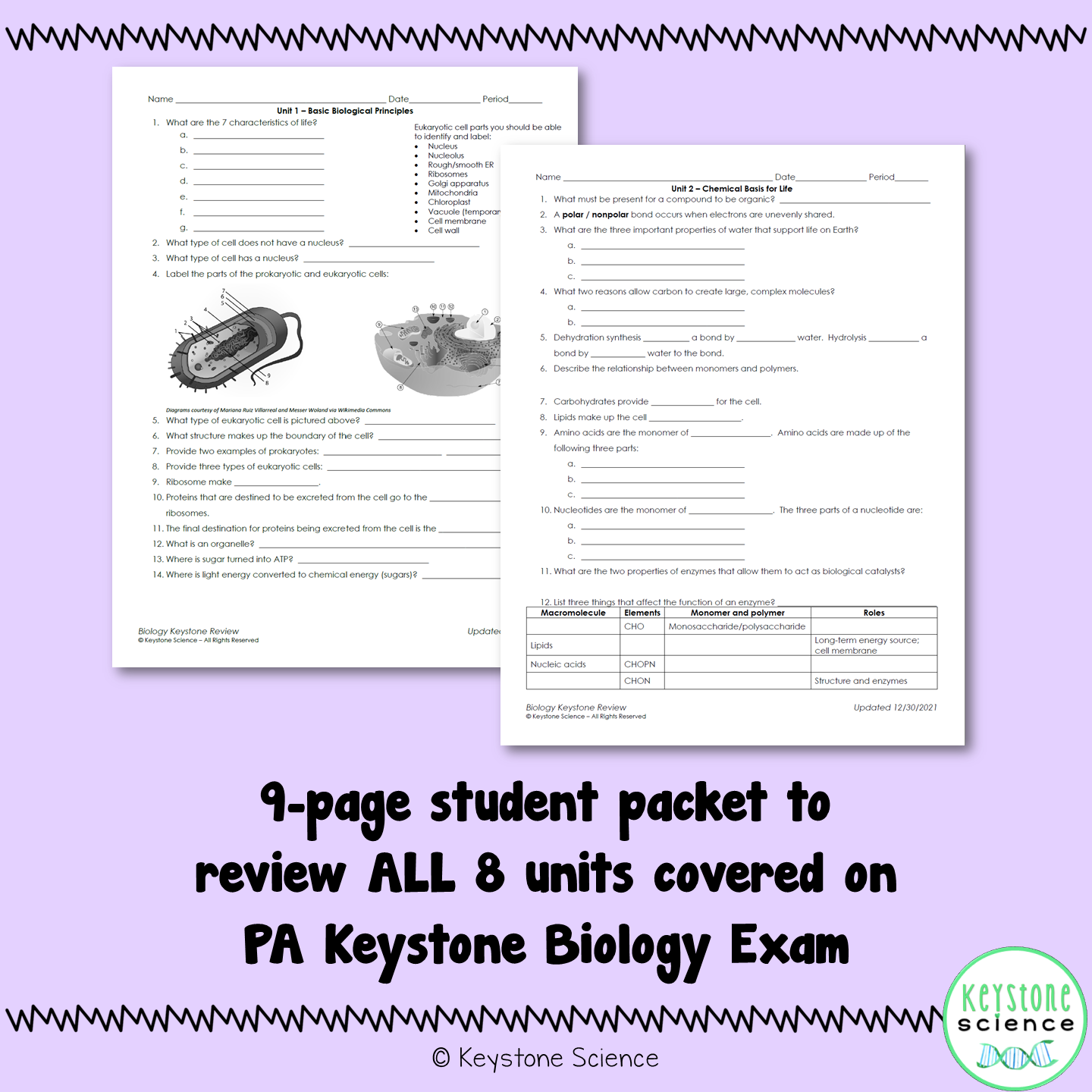 Biology Keystone Content Review Packet with Answer Key