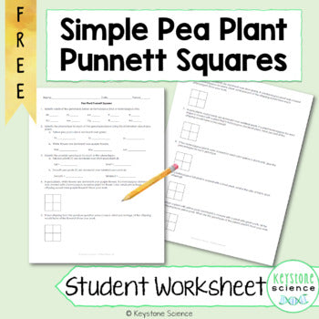 FREE Simple Punnett Square Practice Problems Biology Genetics