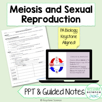 Meiosis and Sexual Reproduction PPT & Guided Notes Biology Keystone Aligned