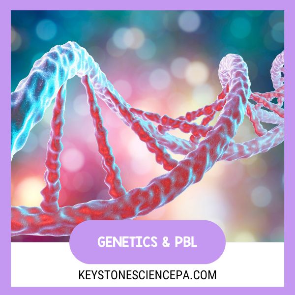 Unraveling the Mysteries of Genetics through PBL and Ethical Debates