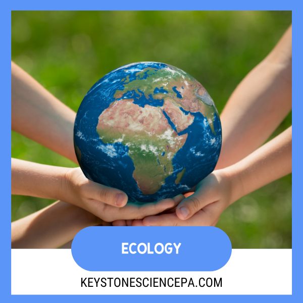 1️2 Simple Substitutions for an Earth-Friendly Science Classroom