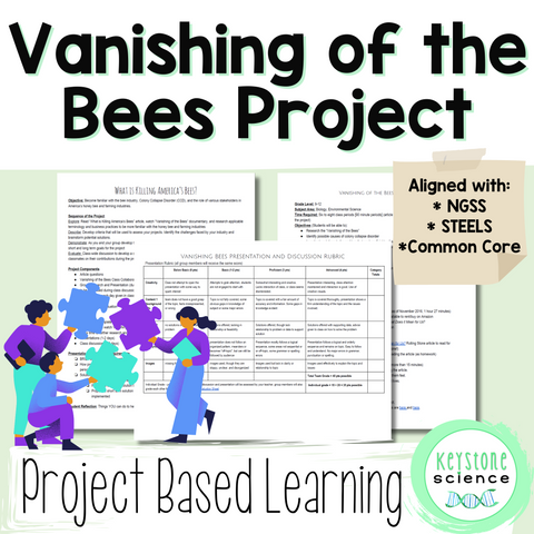 5 Easy Steps to Update Your Curriculum Without Losing Your Summer Break - BTS Series Post 1 4