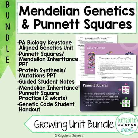 Breaking Language Barriers: Empowering ELL Students with Genetics Vocabulary 1