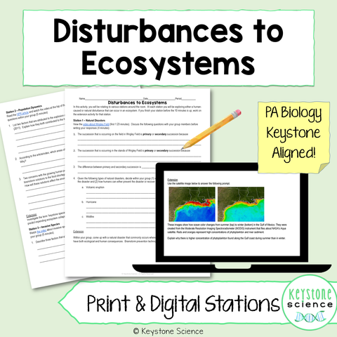 Cutting Through the Confusion✂️: Unleashing the Power of Crosscutting Concepts in Science Classrooms 3