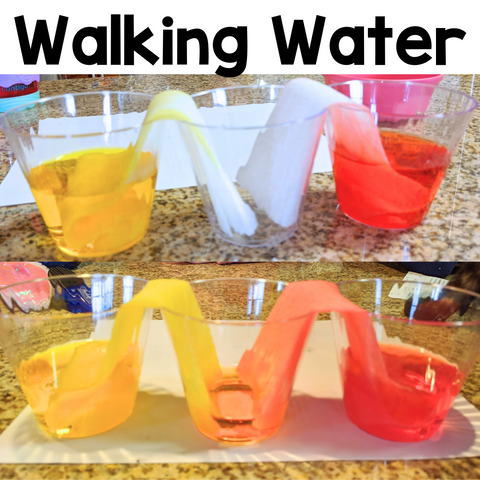Confused About Phenomena-Based Learning? 7 Phenomena to Use in the Science Classroom 1