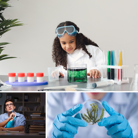What is Inquiry-Based Learning Anyway? 2