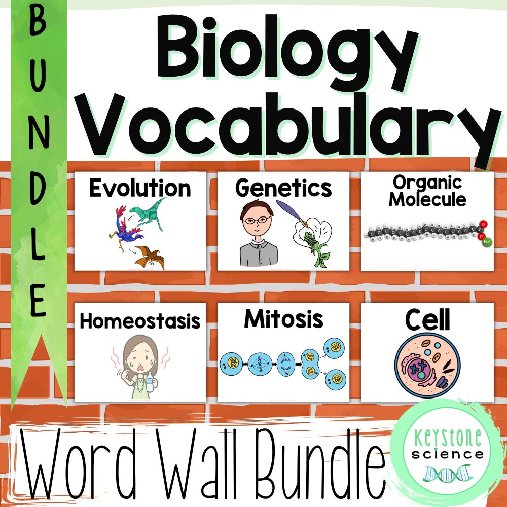 word wall BUNDLE COVER - Alyse Johnson-Chilla