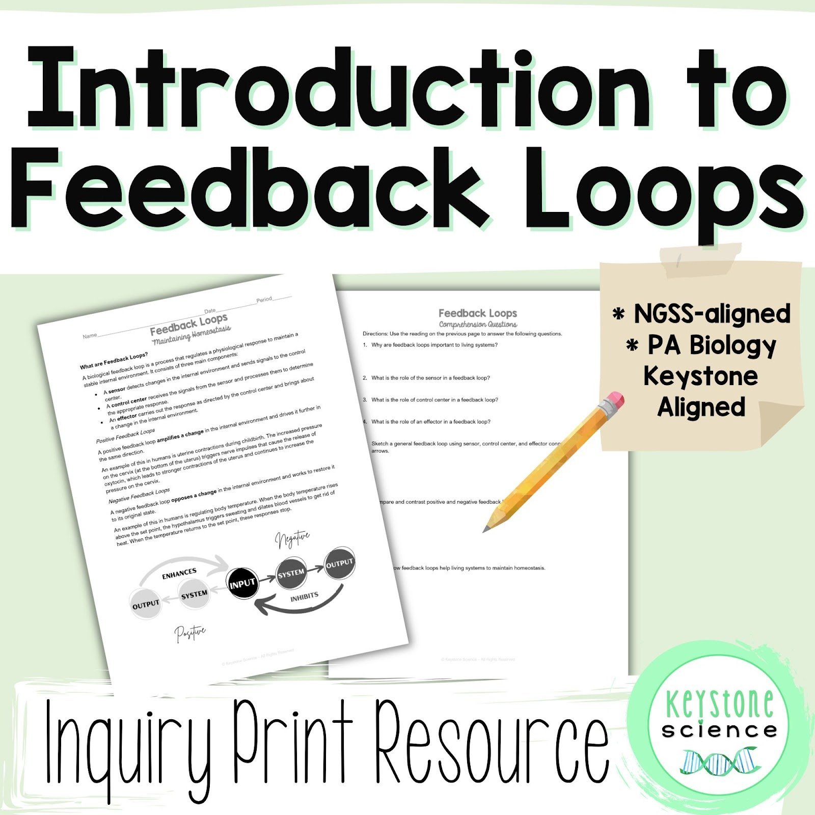5 Engaging Activities to Master Teaching Human Feedback Loops and Homeostasis 2