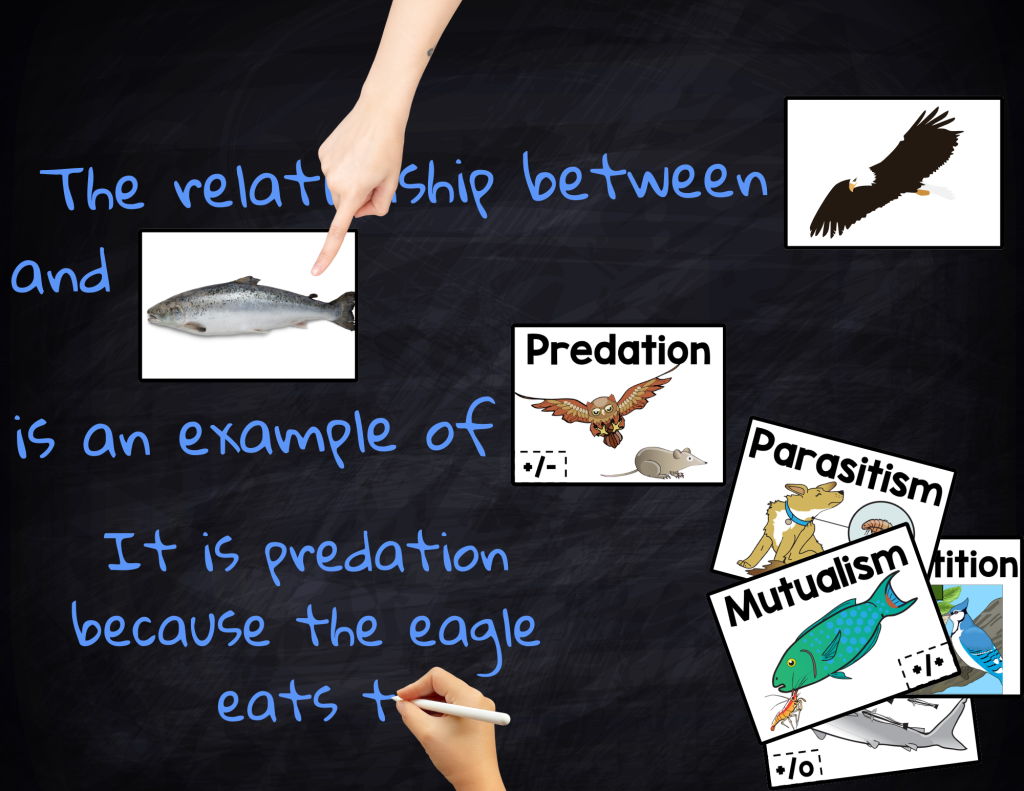 5 Creative Ways to Use Word Walls to Support ELL Students in Science 4
