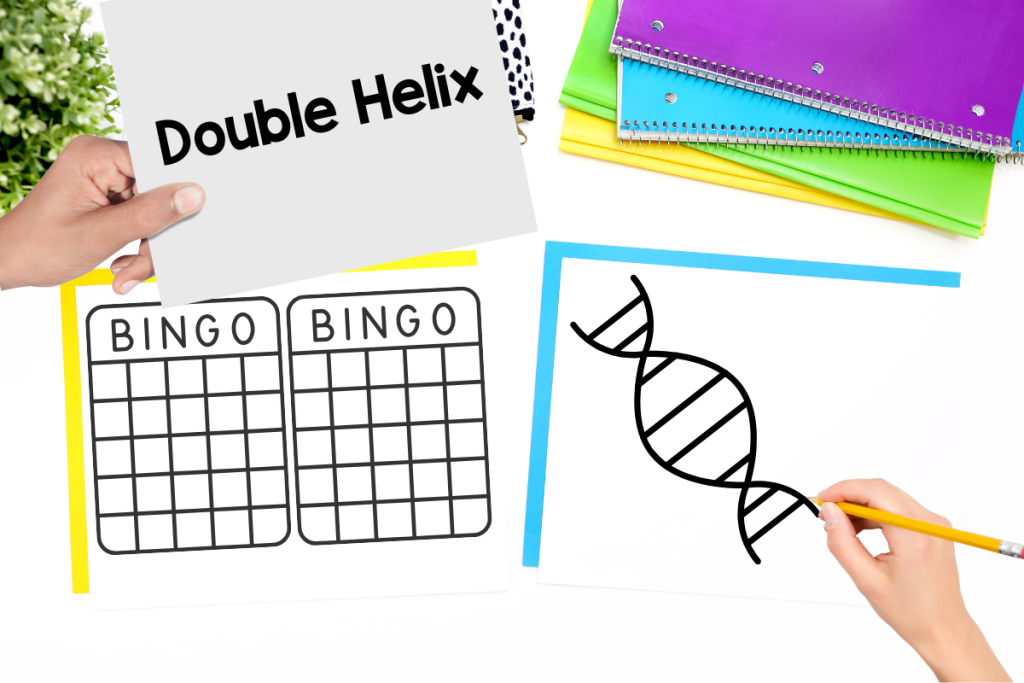 5 Creative Ways to Use Word Walls to Support ELL Students in Science 5
