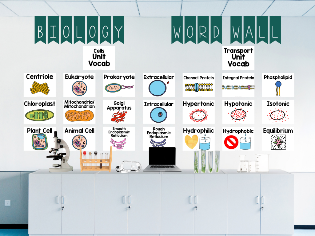 5 Creative Ways to Use Word Walls to Support ELL Students in Science 1