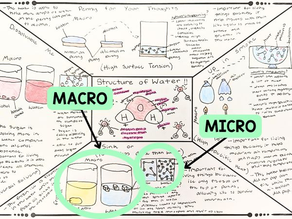 Phenomenal Learning: An Inquiry-Based Lesson Model to Adapt Existing Labs to the NGSS 7