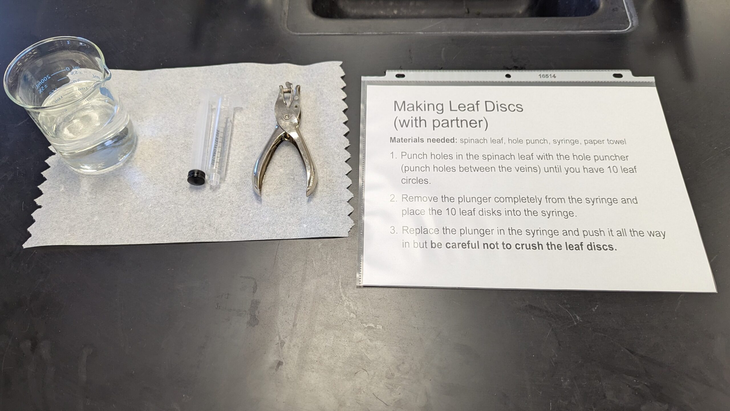 an overhead picture of a lab station set up with a beaker, syringe, and hole punch on a white sheet of paper with instructions printed next to it.