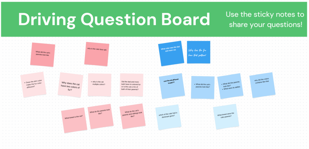 Screenshot of a driving question board from the Canva freebie with multi-colored squares with text.